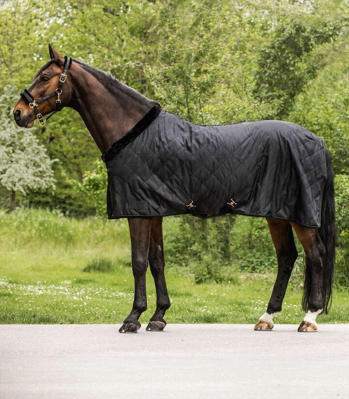 WALDHAUSEN Transportdecke Exclusive 50 g